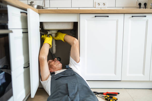 Best Water Softener Installation  in Reform, AL